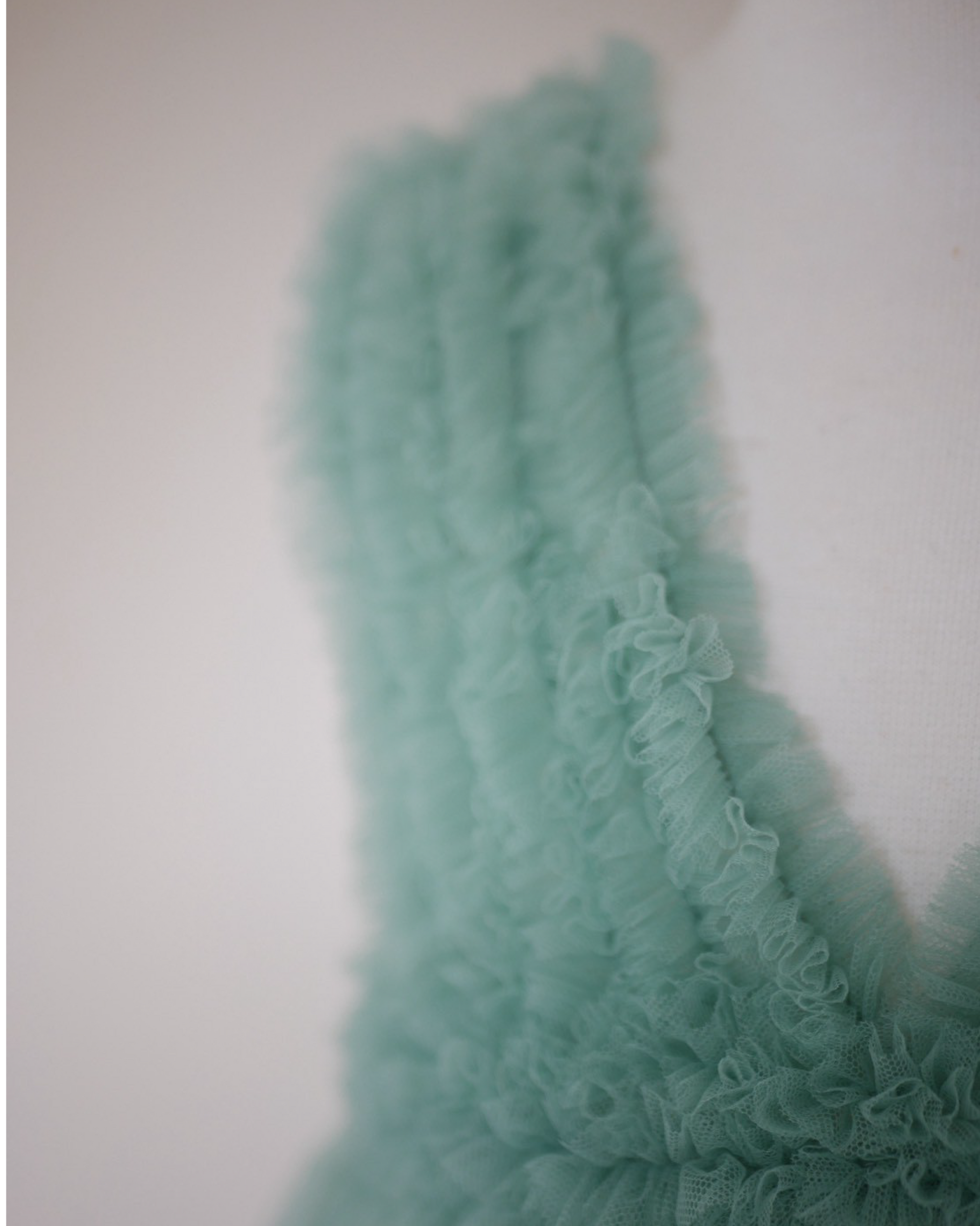 被布 - midori - ( rental )