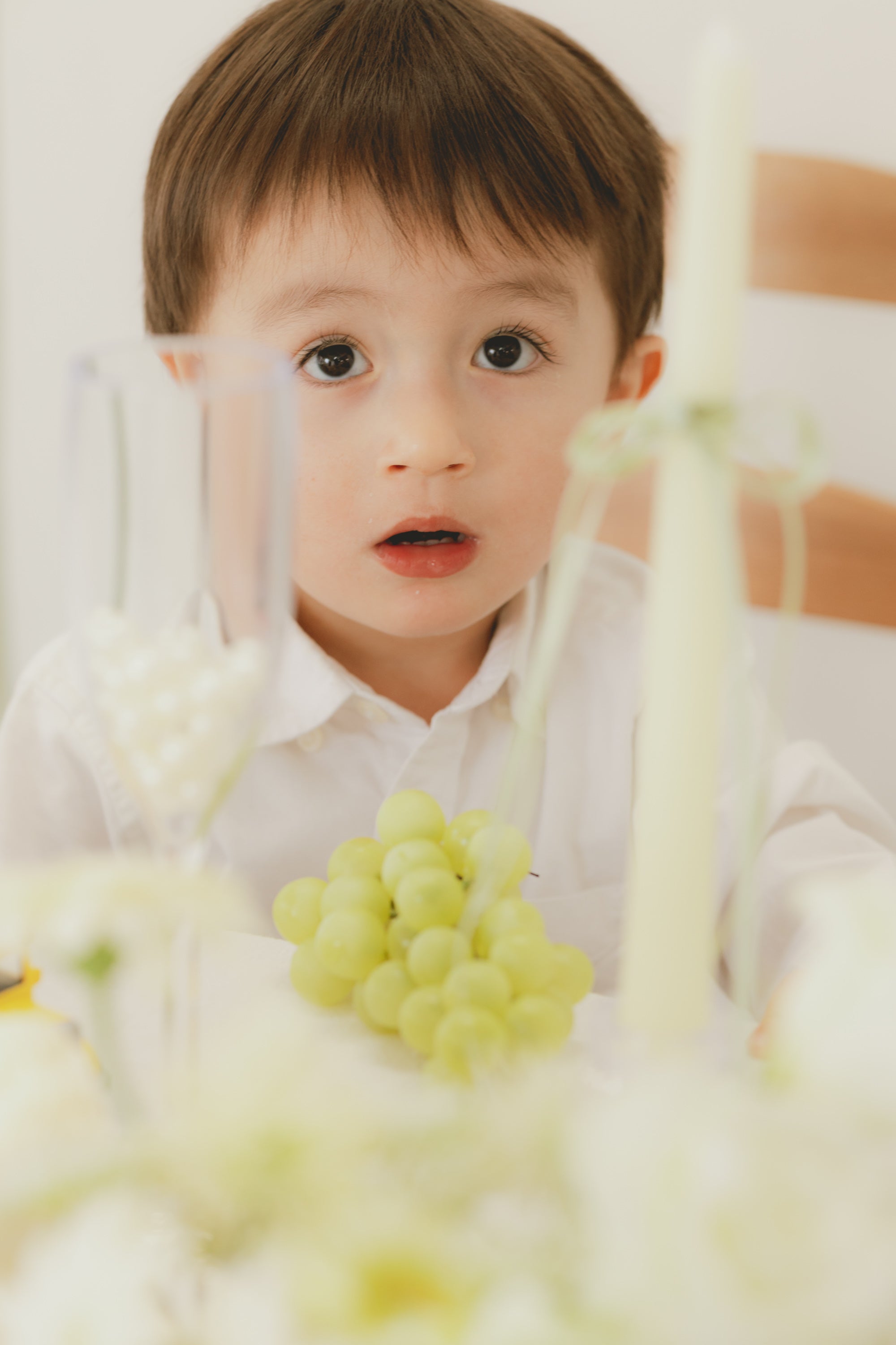 home studio set - sage（ green ）-