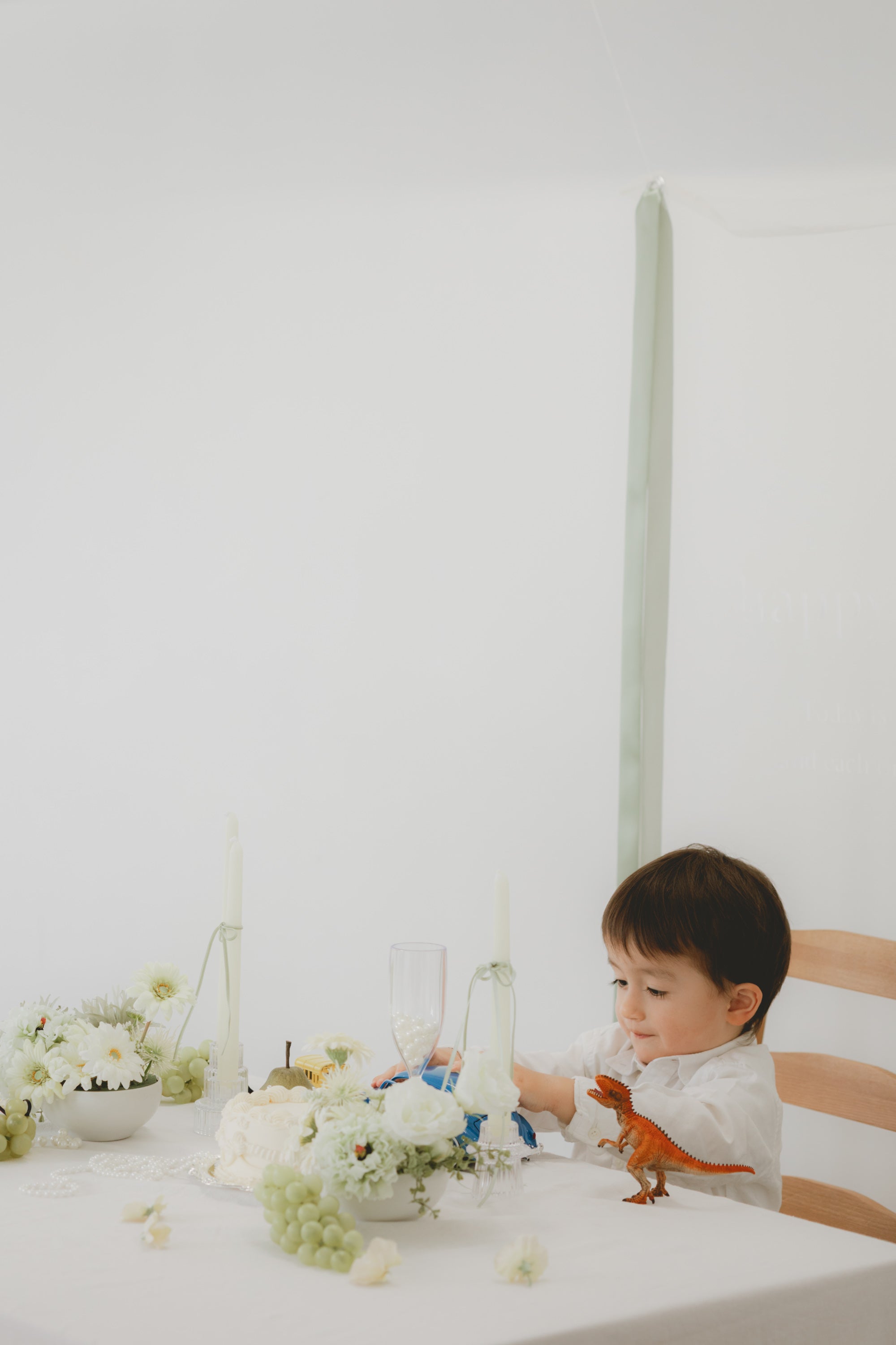 home studio set - sage（ green ）-