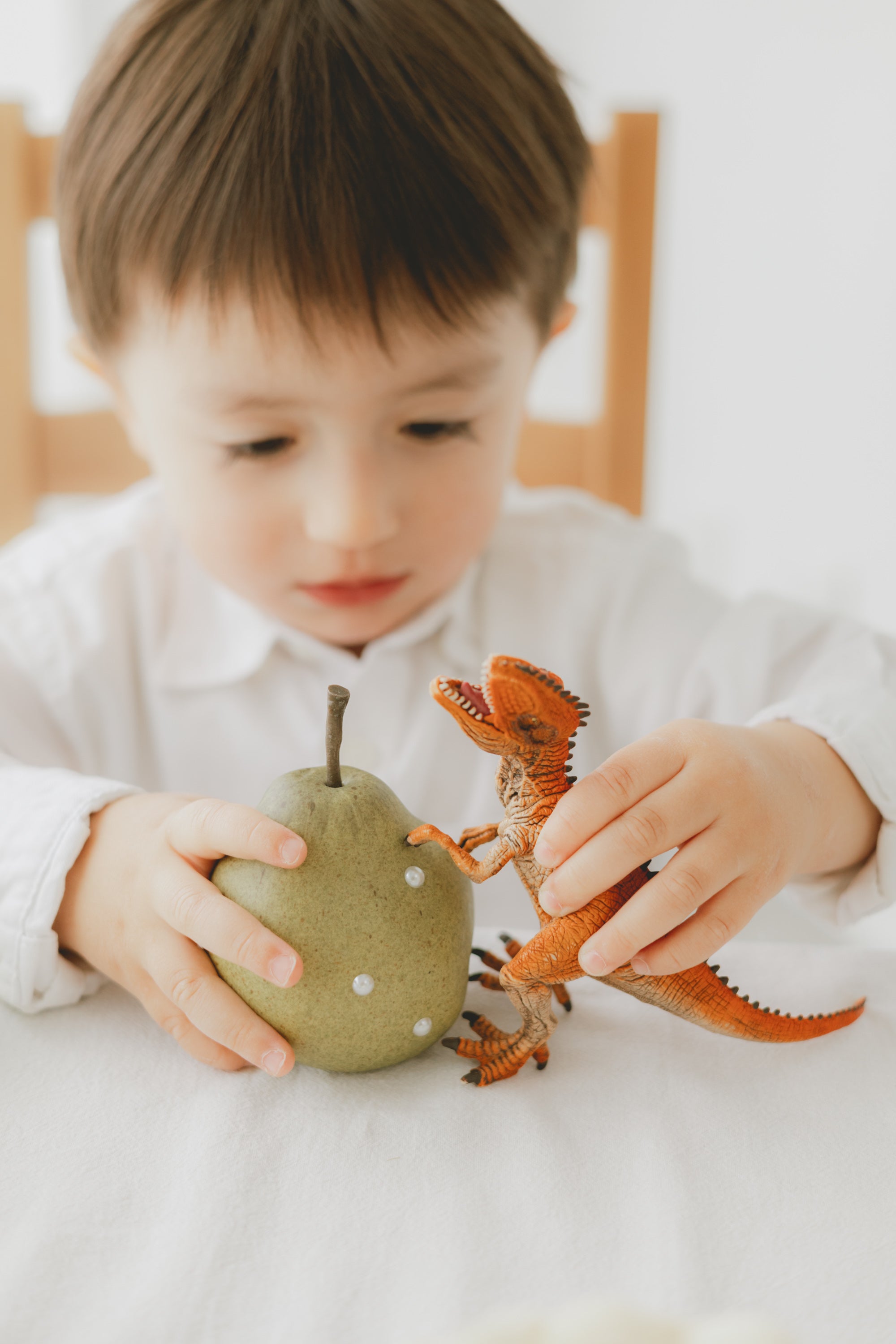 home studio set - sage（ green ）-