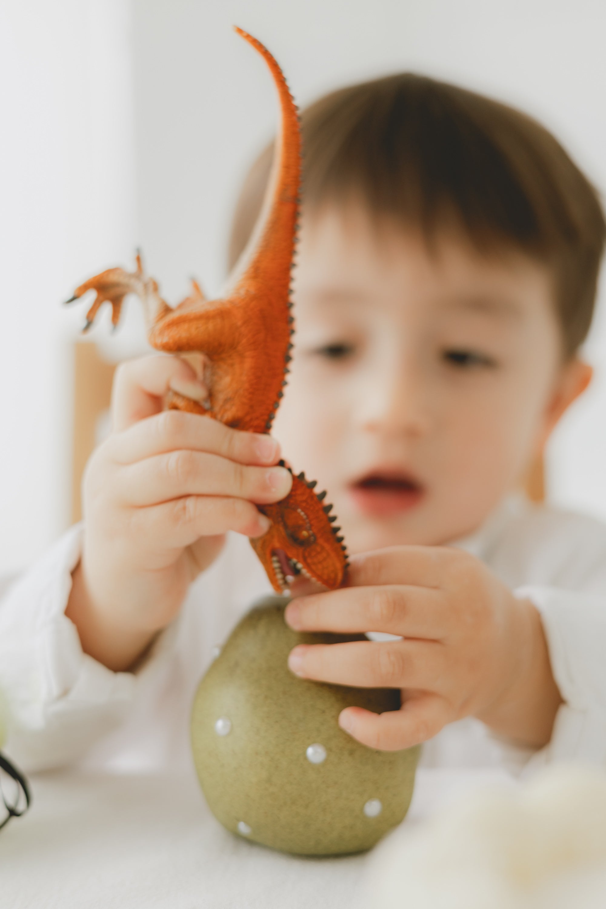 home studio set - sage（ green ）-