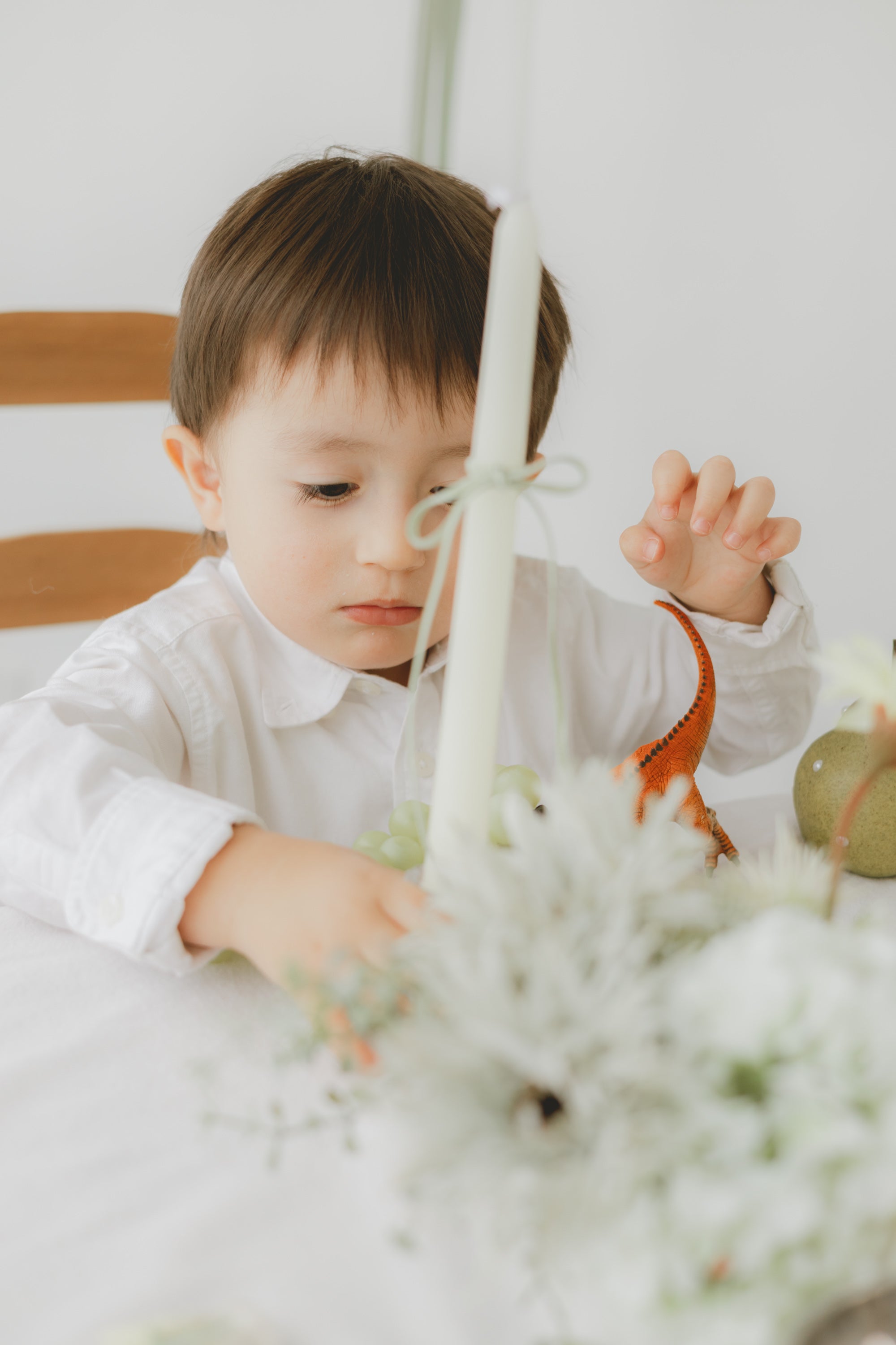 home studio set - sage（ green ）-