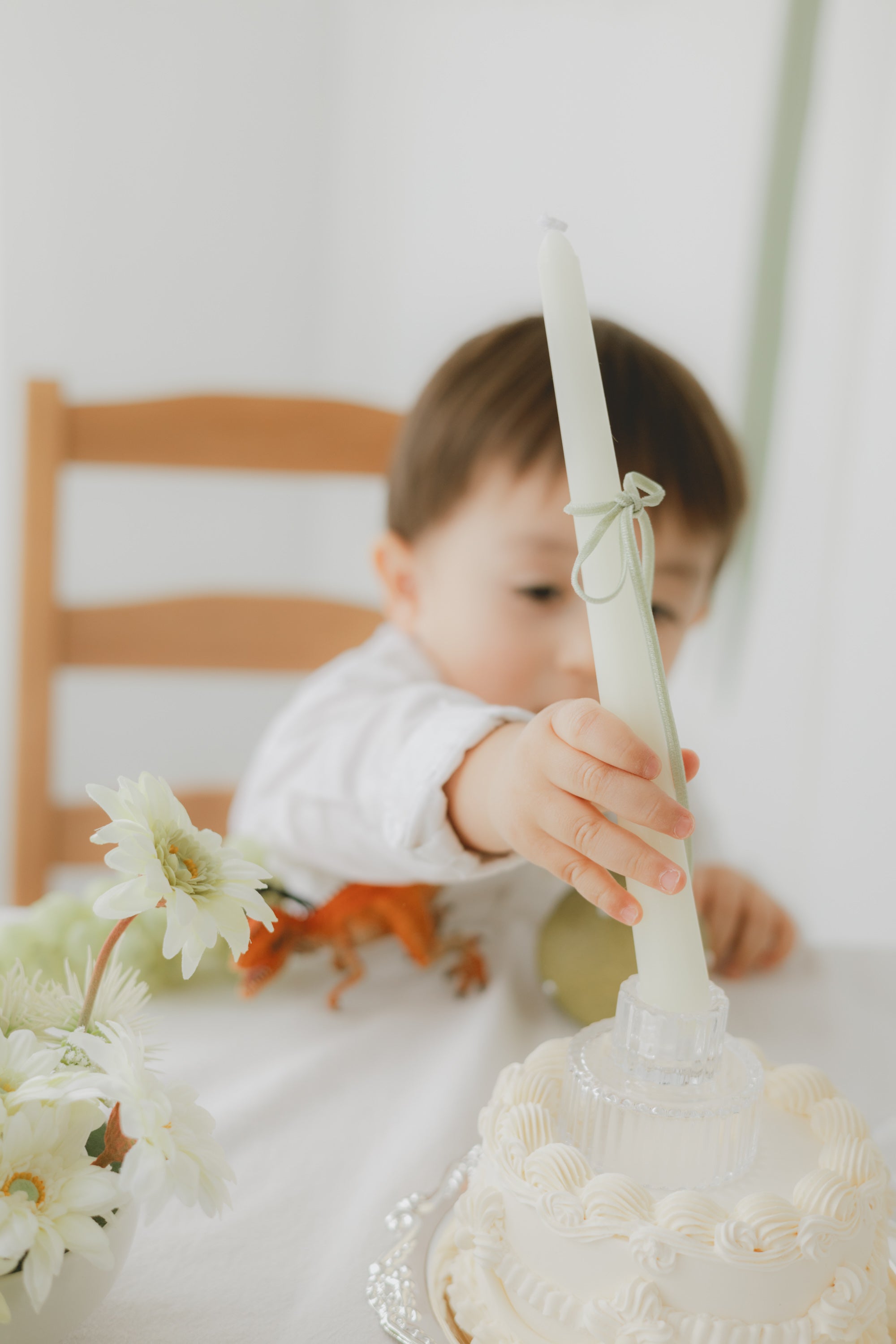 home studio set - sage（ green ）-