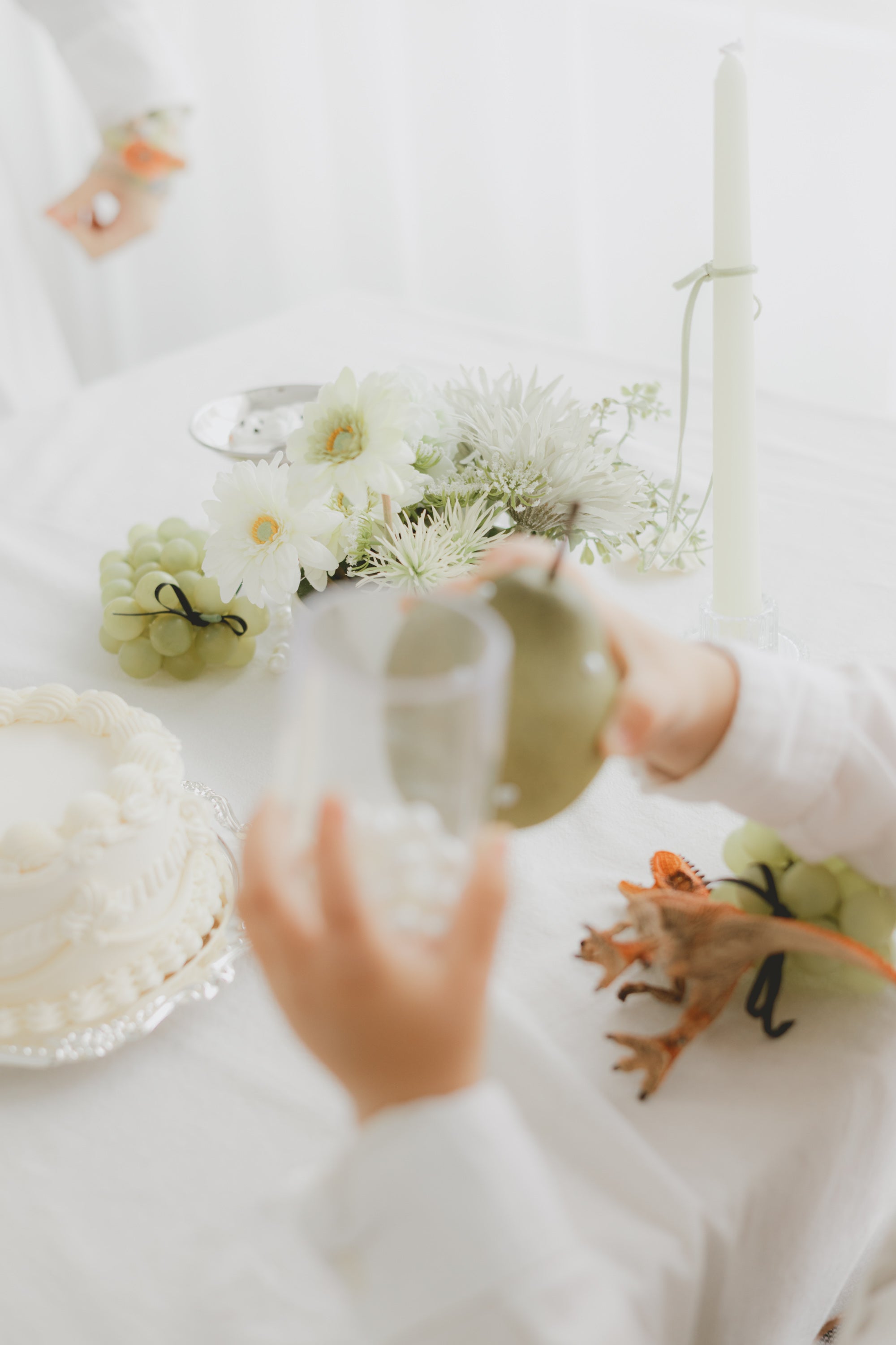 home studio set - sage（ green ）-