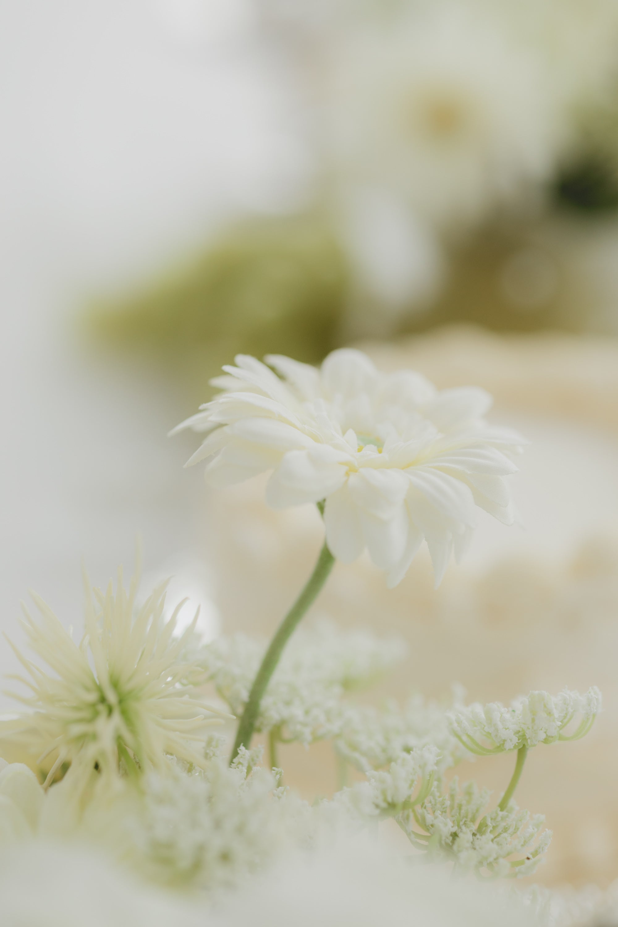 home studio set - sage（ green ）-