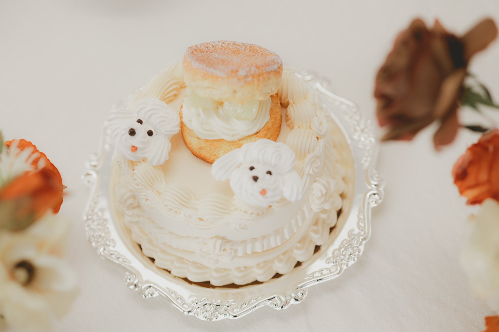 home studio set - amber（ terracotta ）-