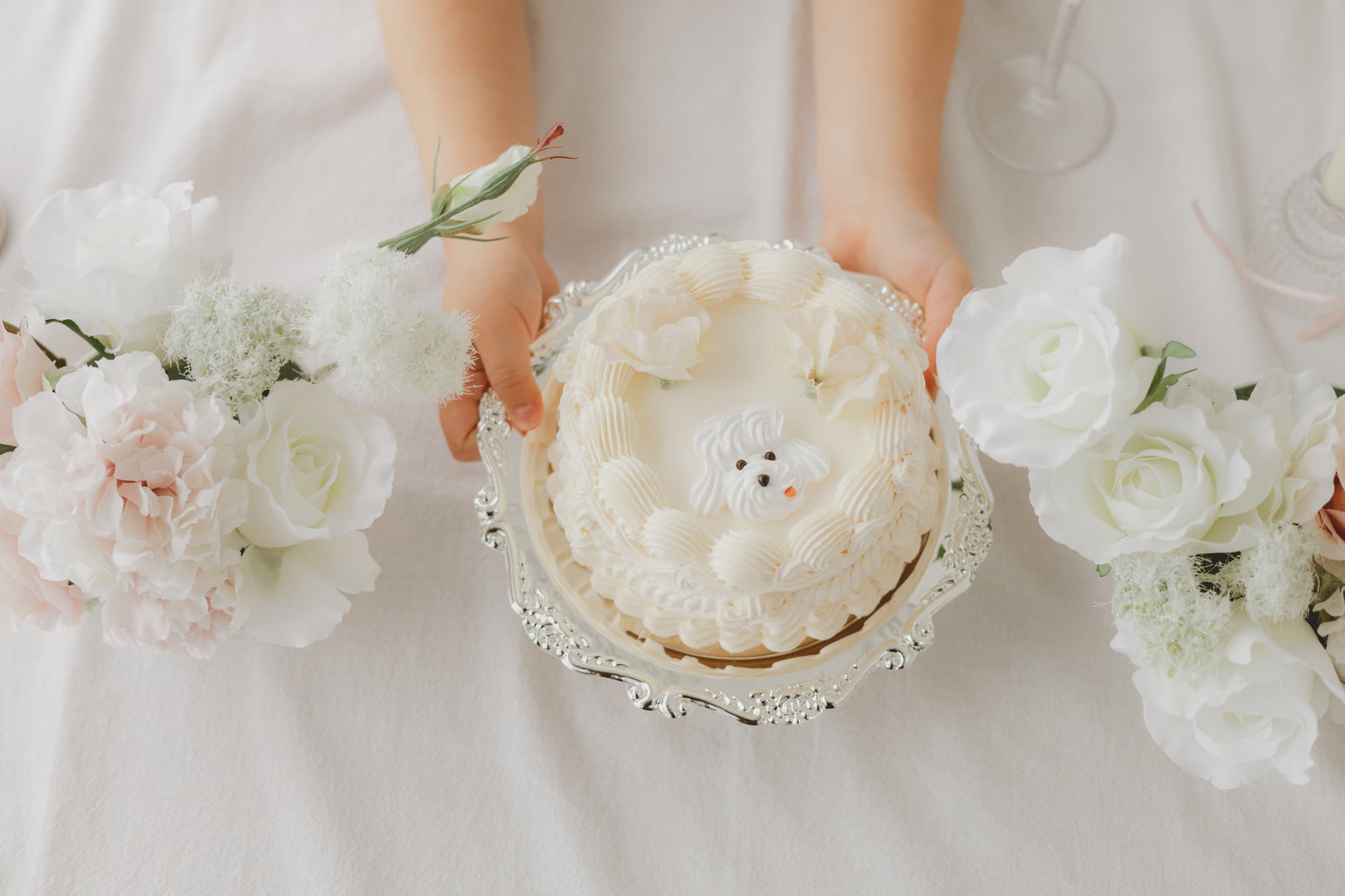 home studio set - rosée（ pink ）-