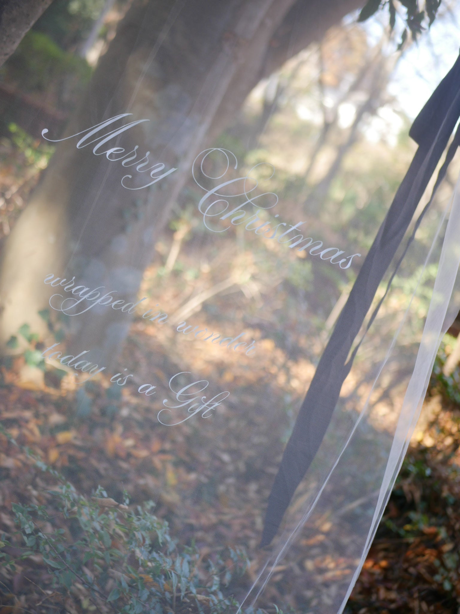 《 数量限定 》christmas sheer tapestry