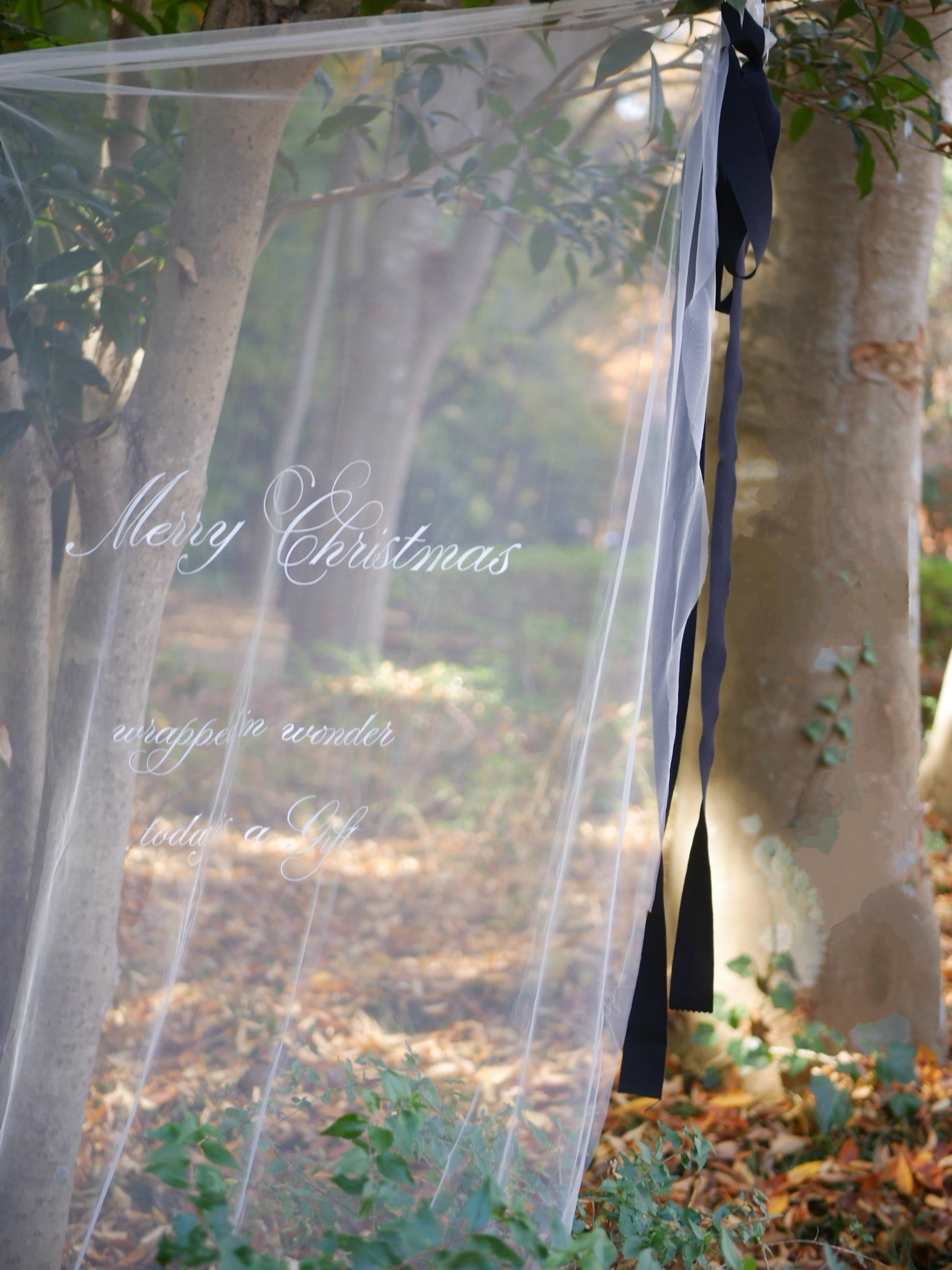 《 数量限定 》christmas sheer tapestry