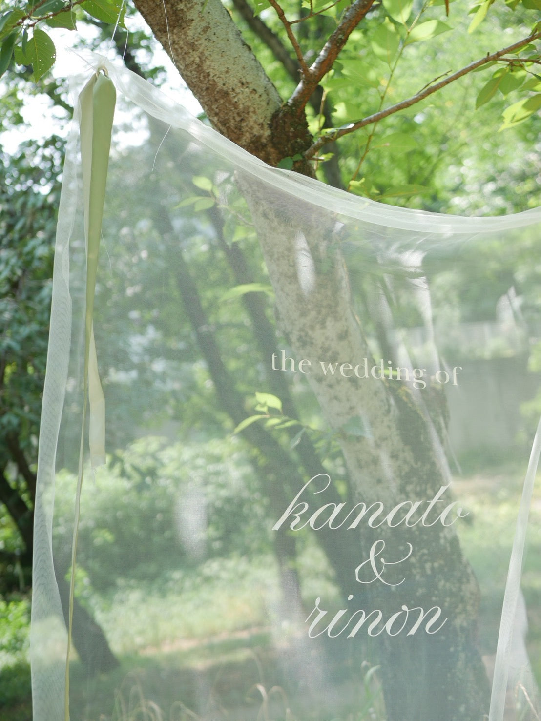 wedding sheer tapestry