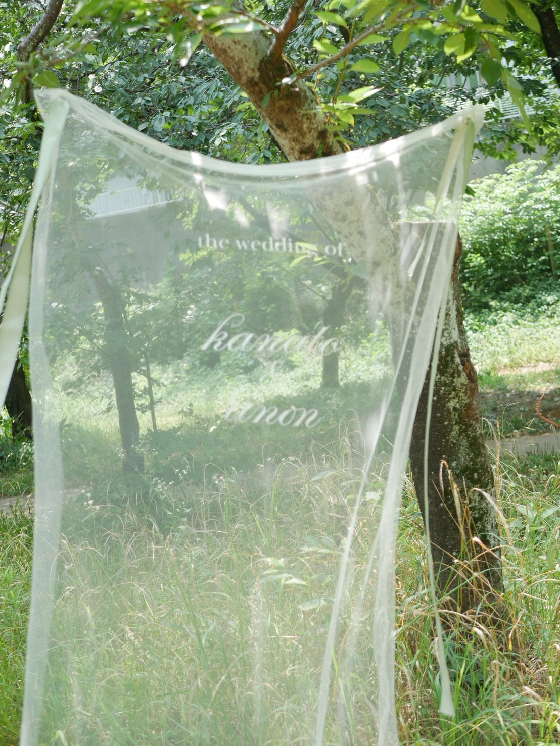 wedding sheer tapestry