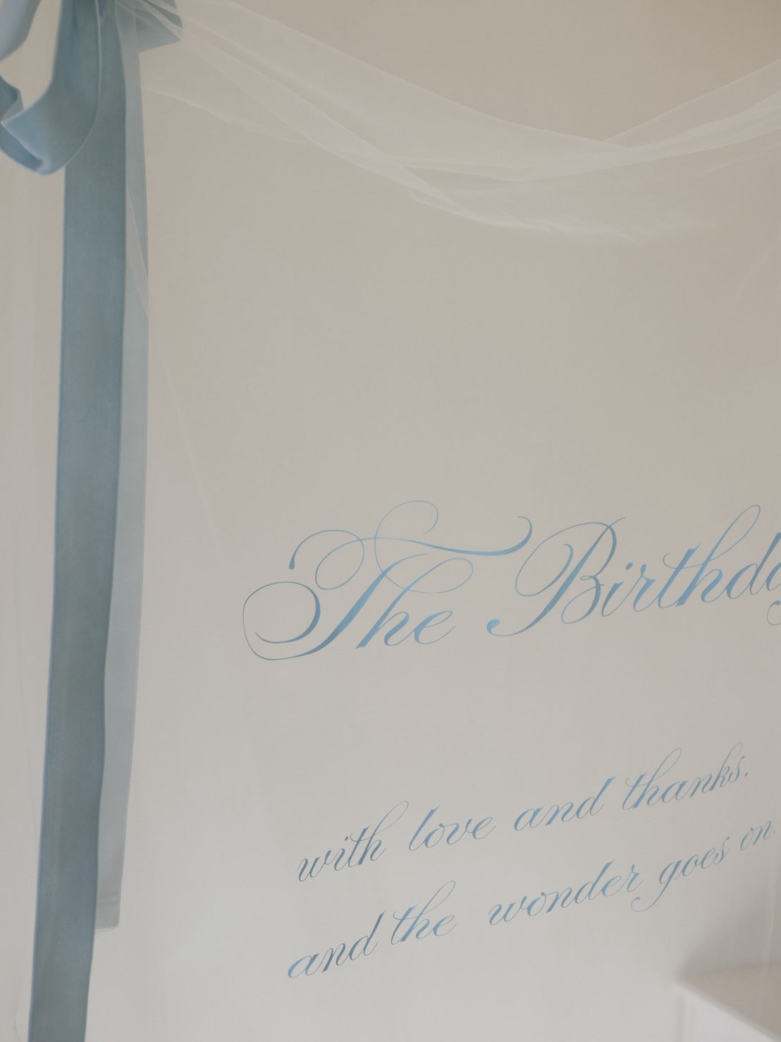 《 2/5（木）22:00〜予約開始 》color sheer tapestry（ pink / blue ）