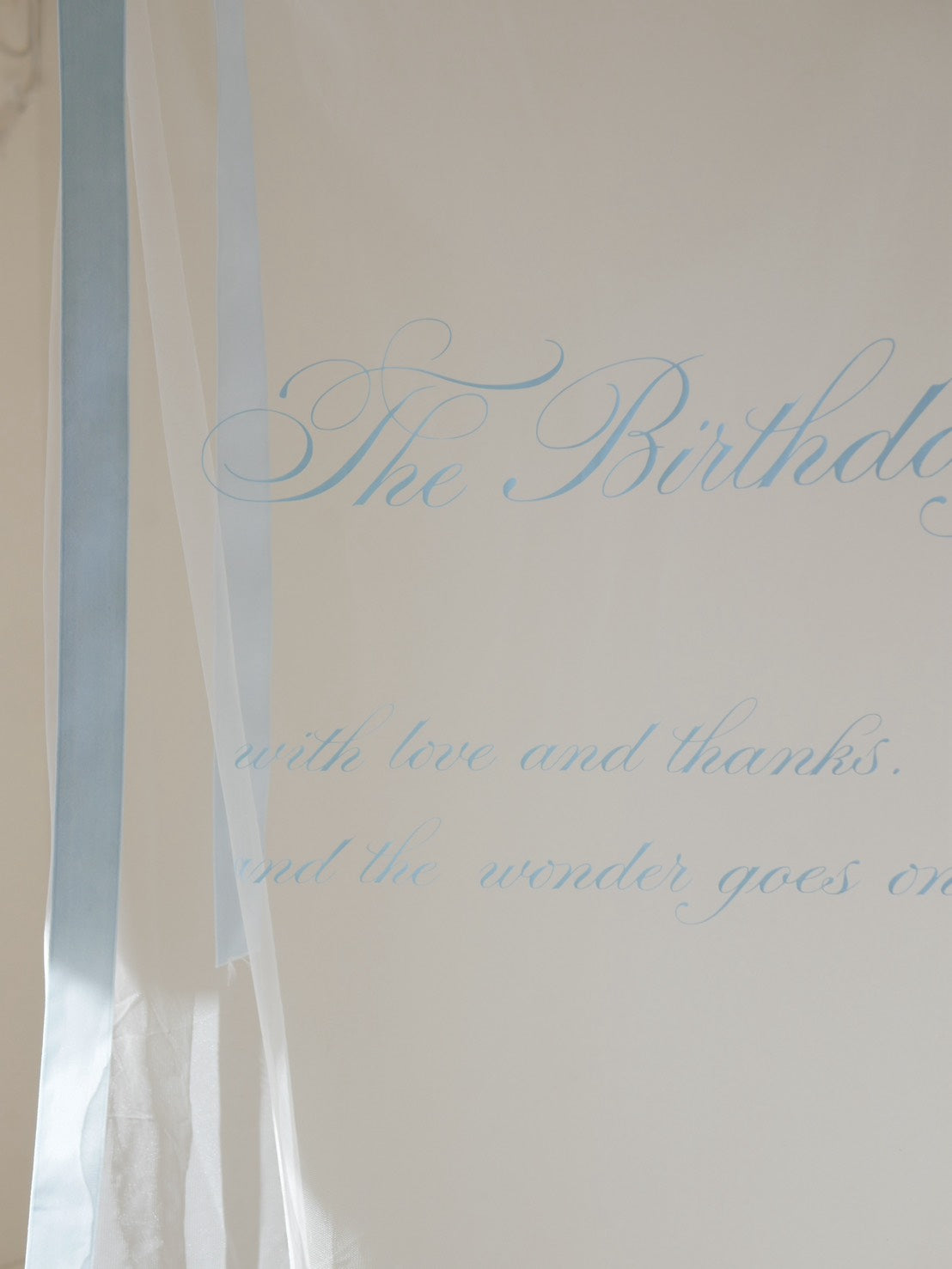 《 2/5（木）22:00〜予約開始 》color sheer tapestry（ pink / blue ）