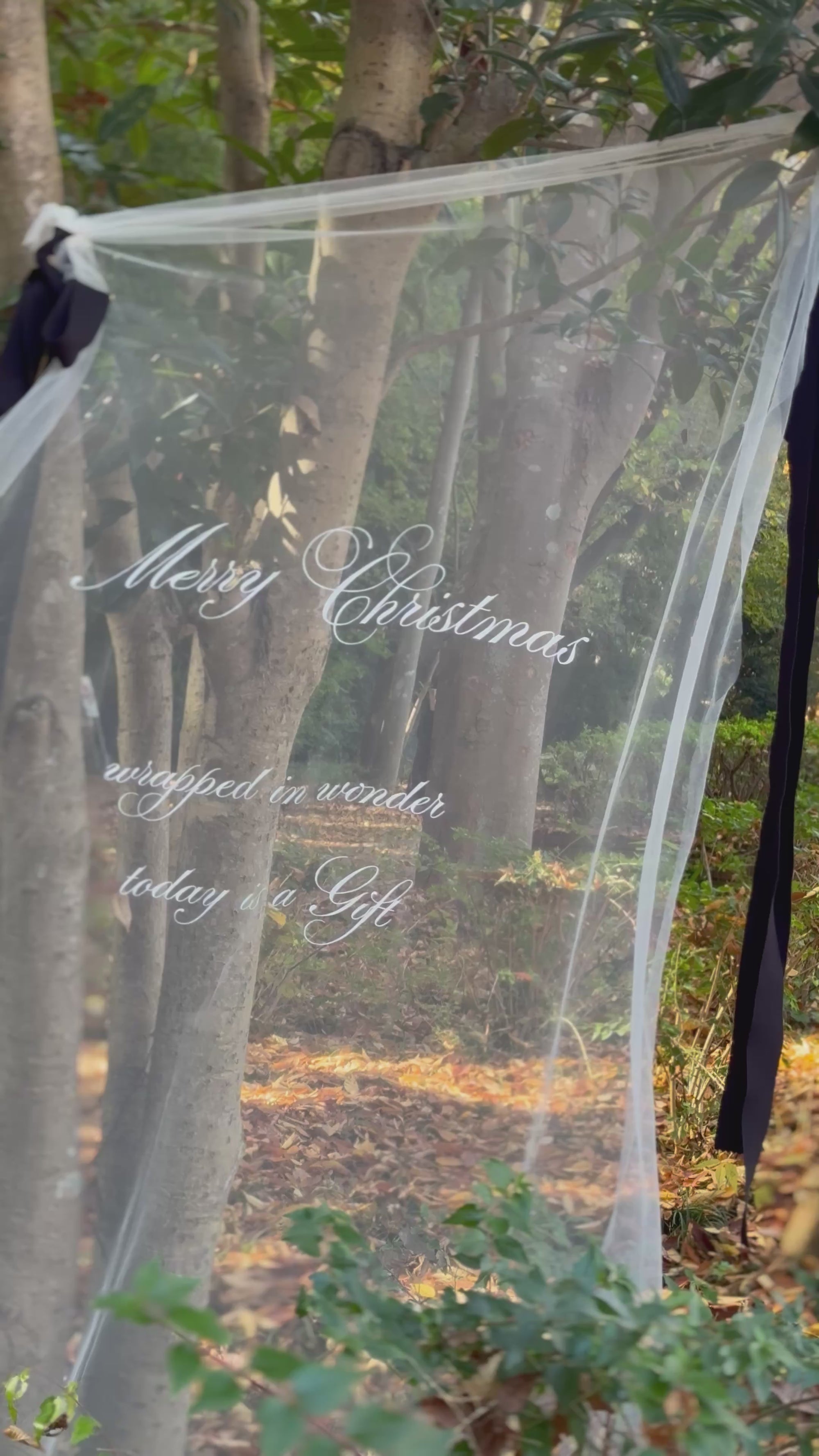 《 数量限定 》christmas sheer tapestry
